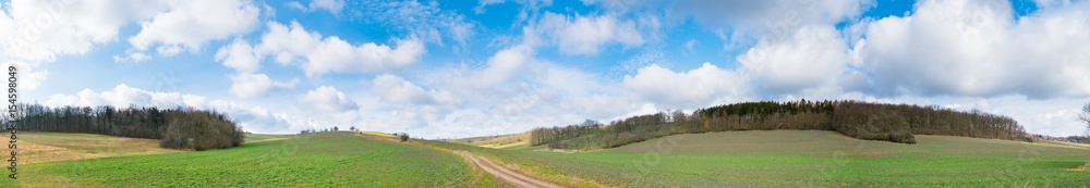 Panorama of green field and blue sky with clouds
