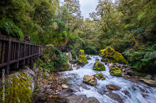 Lake Marian fall located in the Fiordland National Park  Milford sound  New Zealand