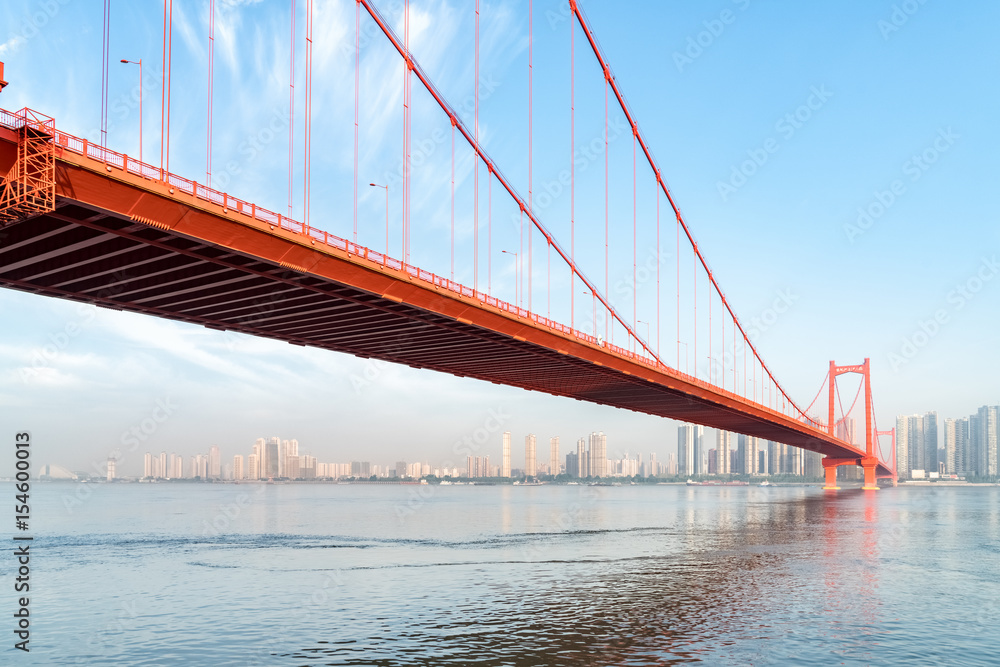 Fototapeta premium wuhan parrot shoal yangtze river bridge