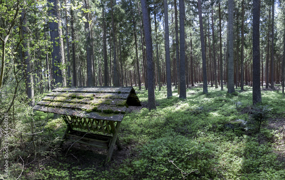 Waldviertel in Niederösterreich