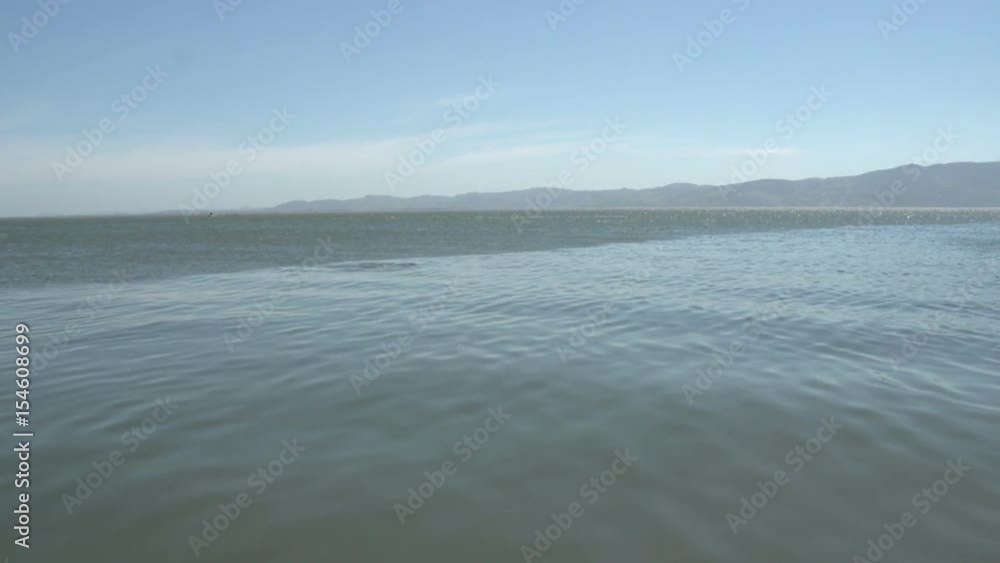 Dolphin comes to surface water, Laguna, Santa Catarina Dolphin comes to surface water, Laguna, Santa Catarina