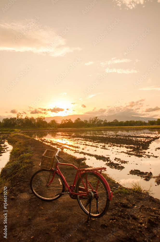 Fototapeta premium Beautiful landscape with red classic bicycle against sunset sky background