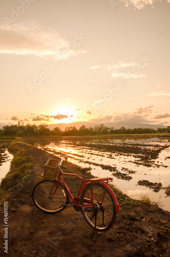 Beautiful landscape with red classic bicycle against sunset sky background