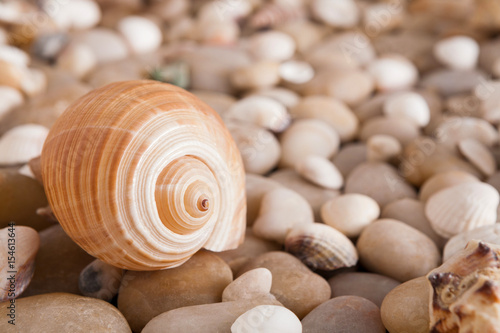 Sea pebbles background  natural seashore stones
