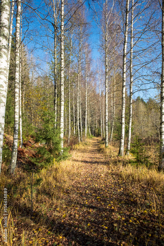 Idyllic landscape with path at bright autumn day Idyllic landscape with path at bright autumn day
