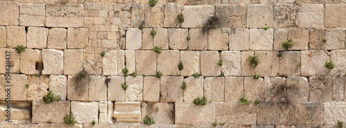 panoramic view of the wailing wall with vegetation photo