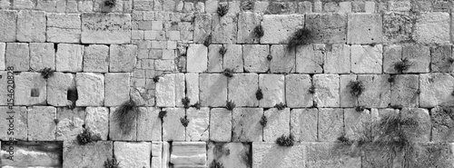 panoramic view of the wailing wall with vegetation - black and white