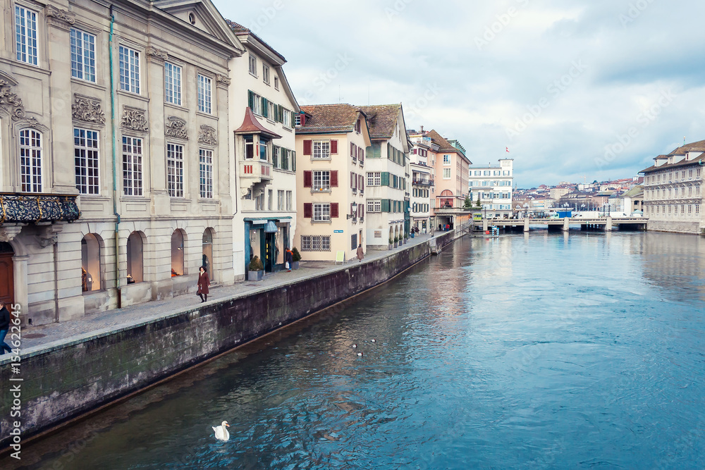 the historic city center of zurich with swan