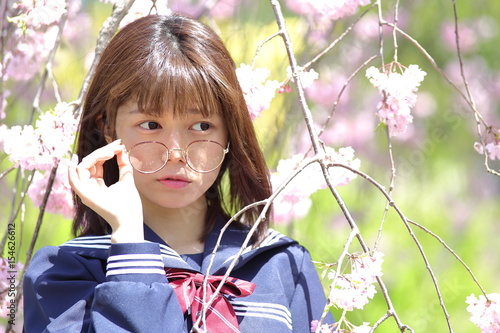 Bild auf Leinwand セーラー服と丸メガネ　桜