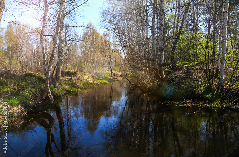 Spring landscape in the forest river on a sunny day. Reflection from the water