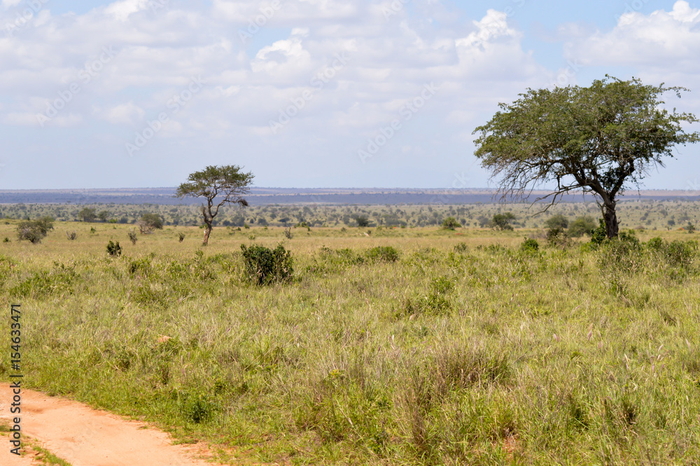 View of the Tsavo East savannah