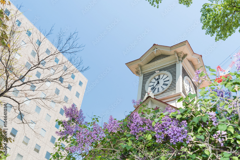 時計台とライラックの花 初夏の北海道札幌市 Stock Photo Adobe Stock