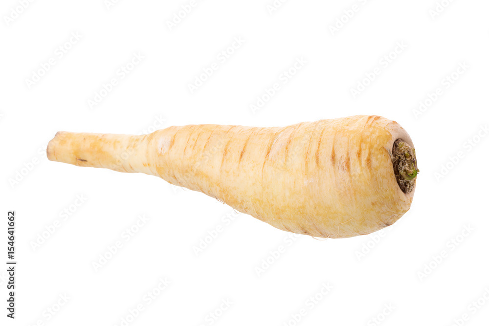 Fresh parsnip roots on a white background Fresh parsnip roots on a white background