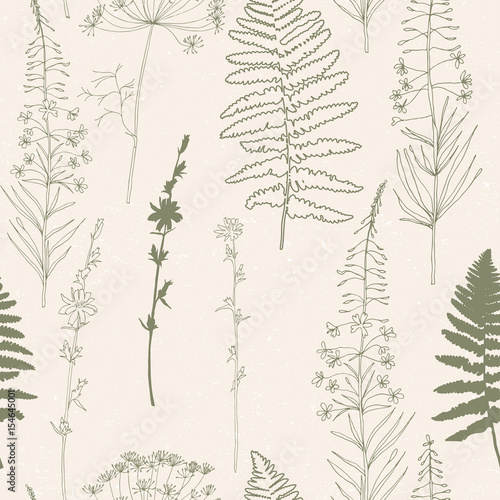 Vector seamless pattern  with hand drawn chicory, dill or fennel flowers,fire...