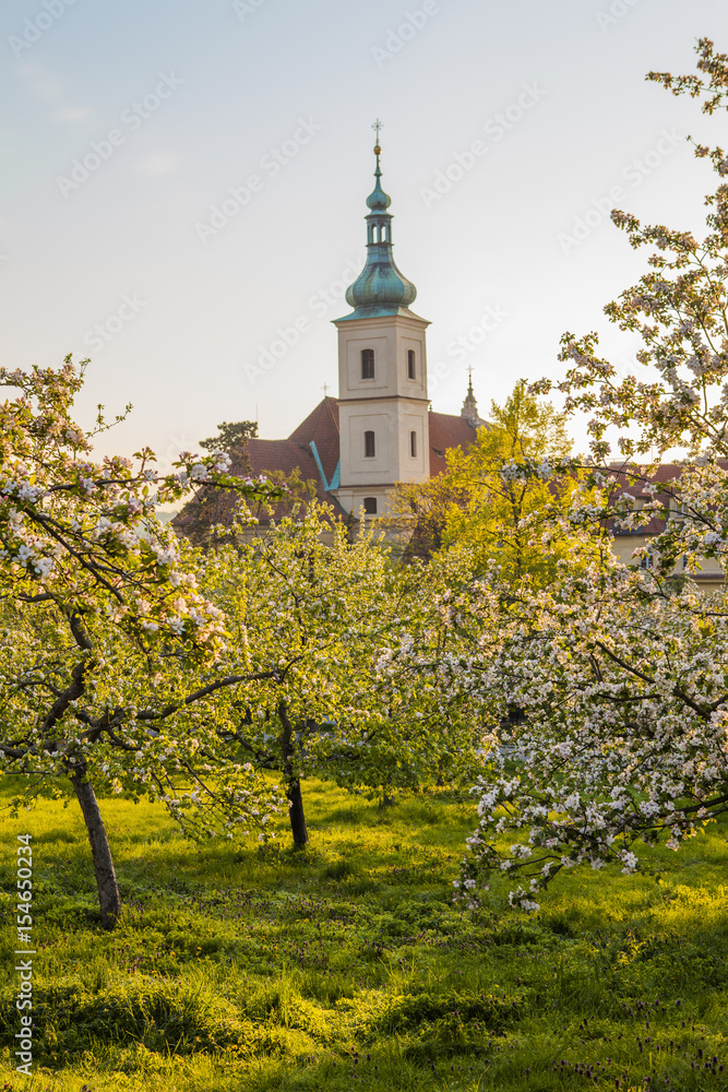 Sunny morning in Prague, Czech Republic, spring time