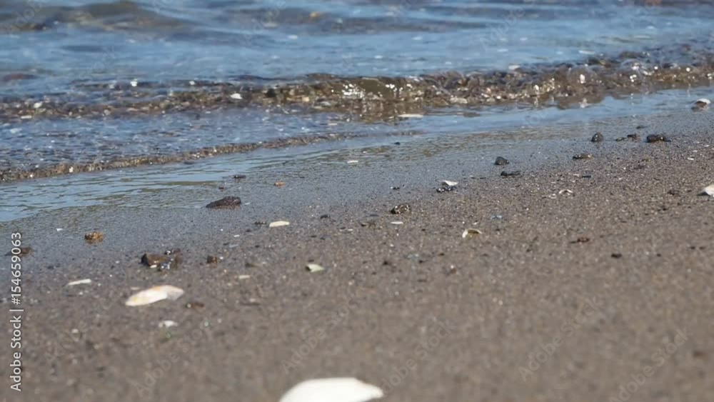 Beautiful small waves washing over a beach at closeup with seashells up close Beautiful small waves washing over a beach at closeup with seashells up close
