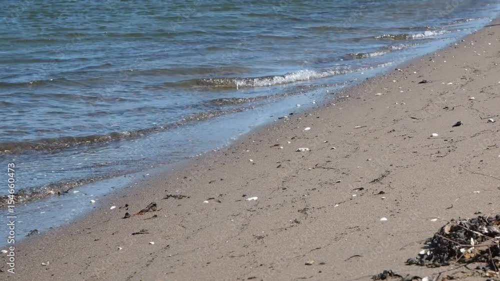 Small waves arriving at the beach, with dried up seaweed Small waves arriving at the beach, with dried up seaweed