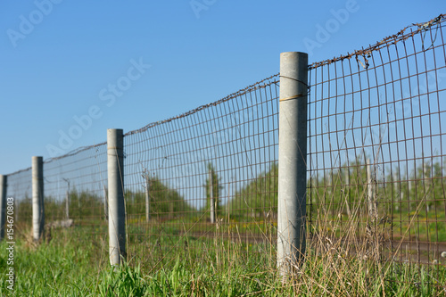 The barbed wire fence on a background of green Apple orchard