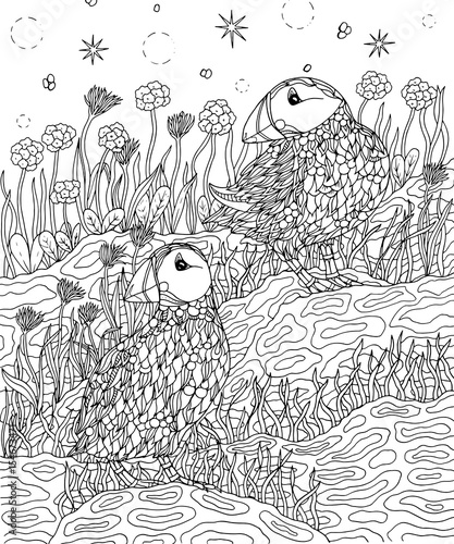 Puffins and flowers coloring page