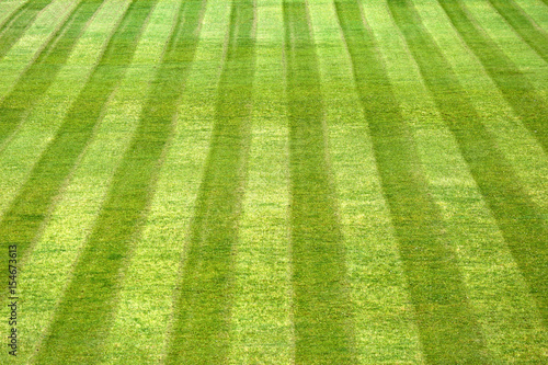 green grass of sport field background