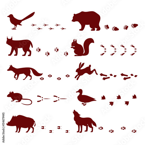 Traces of animals foot steps set contour silhouette footprint wild nature mascot vector illustration