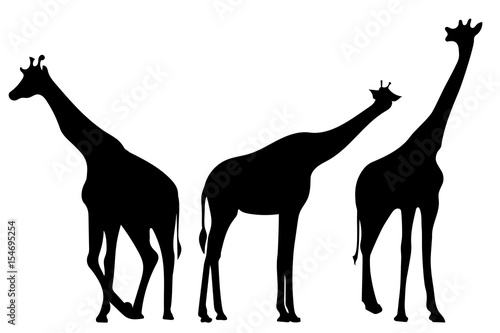 Canvas Print Giraffes. Back silhouettes
