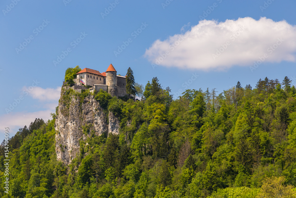 View of Bled Castle on the Bled Lake and Julian Alps, Slovenia