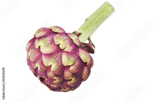 fresh artichoke on white background