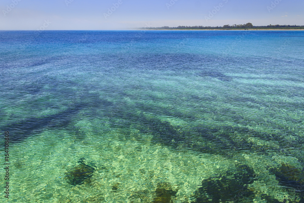  Summer seascape,Apulia coast: Nature Reserve of Torre Guaceto. Carovigno (Brindisi) -ITALY- Mediterranean maquis: a nature sanctuary between the land and the sea.