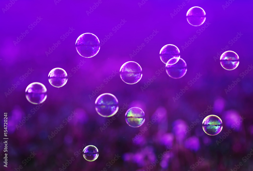 festive background with many shiny iridescent soap bubbles fly lilac meadow