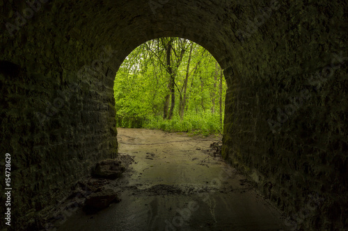 Inside Tunnel To Woods