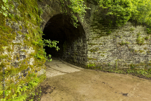 Fototapeta Naklejka Na Ścianę i Meble -  Old Tunnel on a wet spring day.