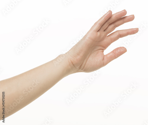 Hand with an open palm