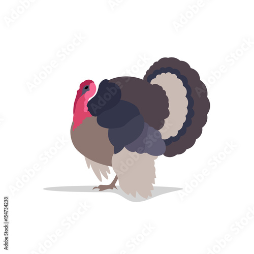turkey white insulated farm