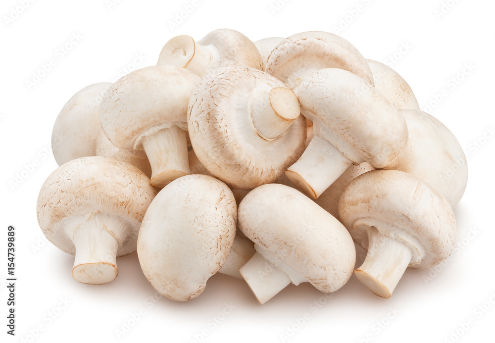 mushrooms mushrooms