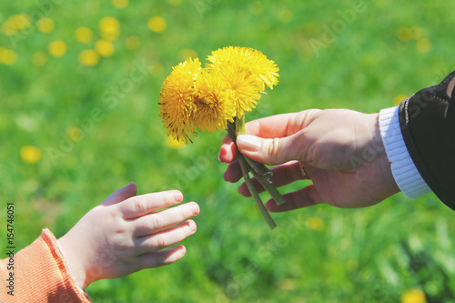 Close up of womans hand giving little  yellow  flower to child