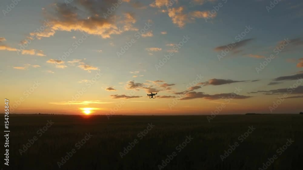 Drone with camera flying over the green wheat field in the direction of the setting sun. Drone with camera flying over the green wheat field in the direction of the setting sun.