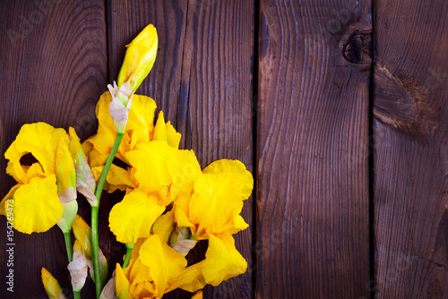 Fototapeta Naklejka Na Ścianę i Meble -  Bouquet of yellow irises