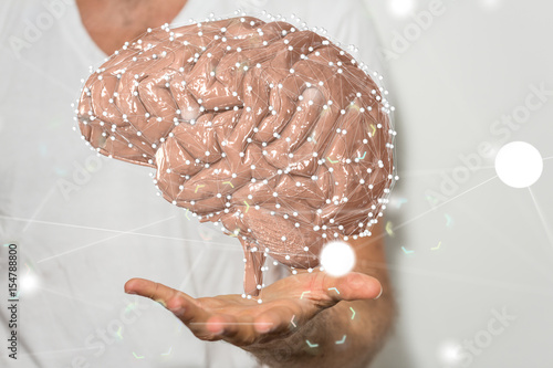 brain