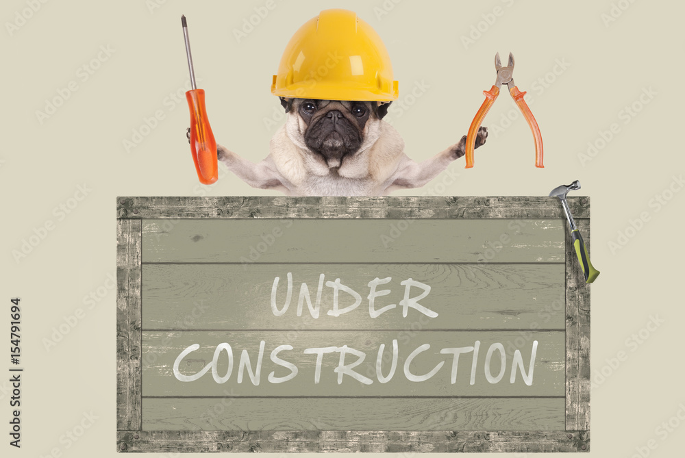 constructor pug dog holding pliers and screwdriver behind old wooden