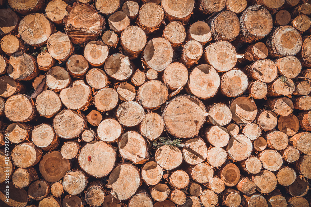 A pile of cut wood stump log texture