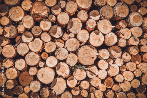 A pile of cut wood stump log texture