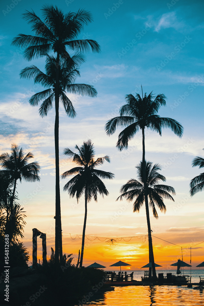 Beach in the tropics. Silhouette of palm trees at sunset.
