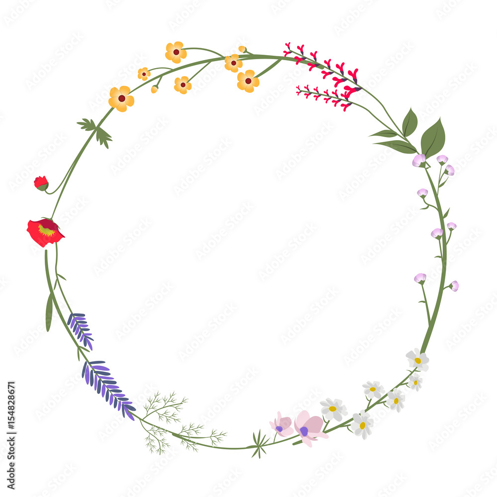 Round Wild Flower Vector Illustration