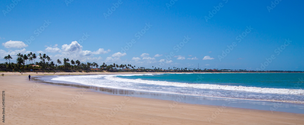Fototapeta premium Panorama of a tropical beach at Pernambuco, Brazil