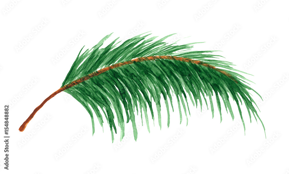 Naklejka premium palm leaf in watercolor on white background
