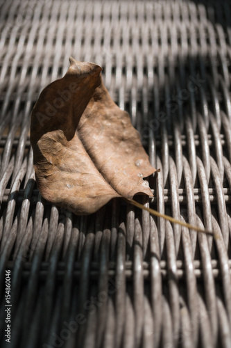 Dried leaf on wicker chair