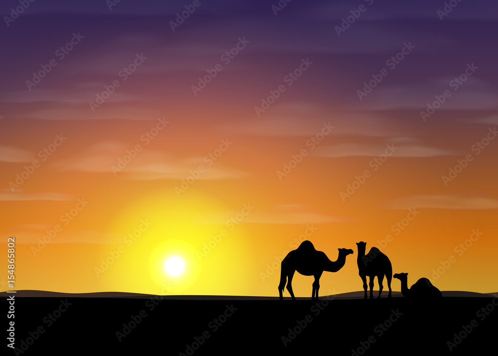 Desert with camels. Vector illustration.