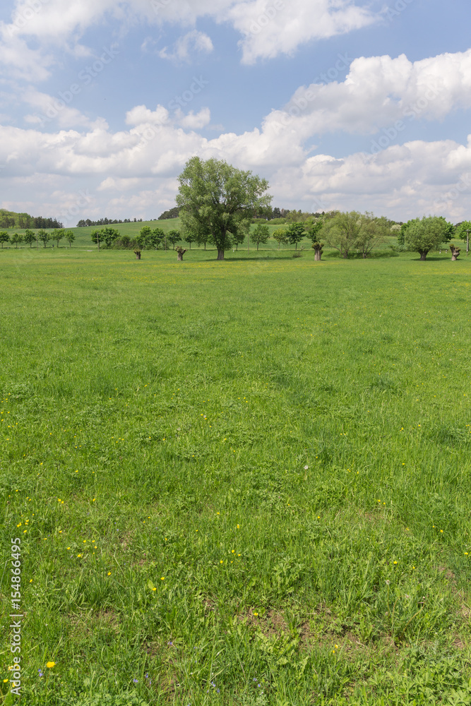Obraz premium Landschaft im Sommer