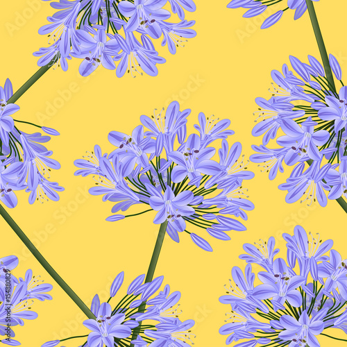 Fototapeta Naklejka Na Ścianę i Meble -  Blue Purple Agapanthus on Yellow Background. Vector Illustration